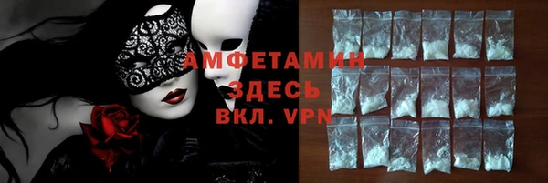 шишки Приозерск
