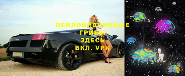 бошки Абаза