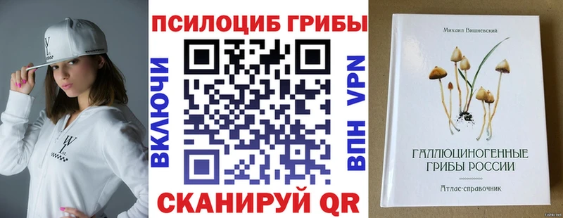 гидра ТОР  Кадников  Псилоцибиновые грибы прущие грибы  купить наркотик 